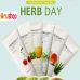 Sữa Rửa Mặt Herb Day 365 Cleansing Foam The Face Shop